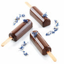 Silikomart IceCreams Mini Pick Silicone Mould & Sticks