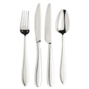 Eternum Anzo Stainless Steel Cutleries